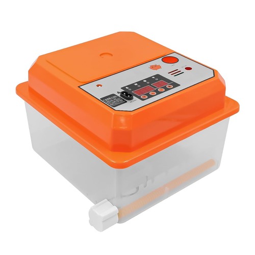 Incubateur œufs pour - 12,