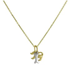 Collier et Pendentif Chien en Or Jaune et Os en Or Blanc 9 Carats - 41 à 51cm