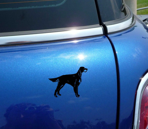 Detailed gordon setter setters - detailed,