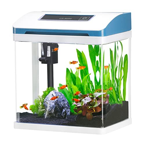 Verre mini aquarium complet - aquarium,