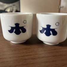 Lot de 2 tasses à saké