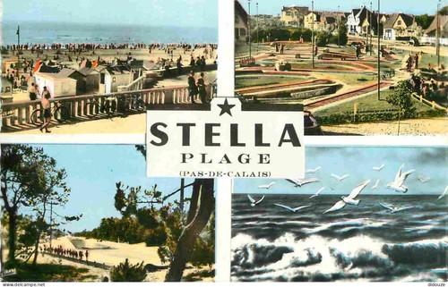 Carte postale stella - carte,