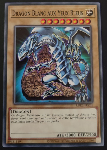 Dragon blanc aux yeux bleus - blanc,