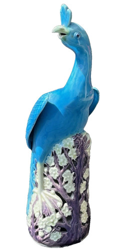 Oiseau paon sujet - , en