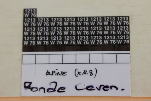 Plaque immatriculation - jd,
