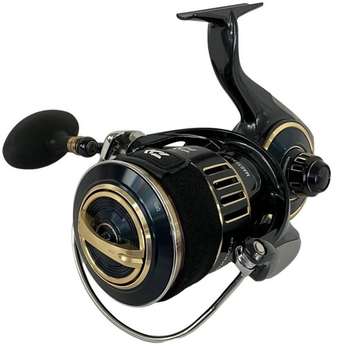 Daiwa saltiga 20000 - saltiga, sw
