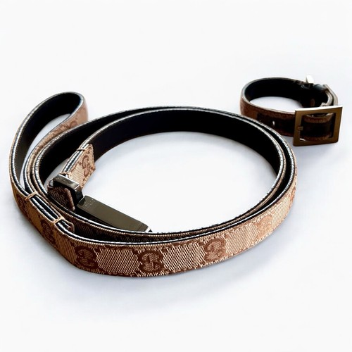 Laisse pour chien gucci - chien,