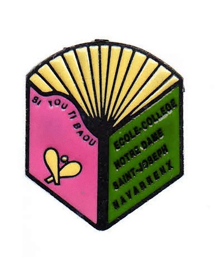 Rare pins pin tourisme - pins,