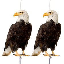 Effaroucheur Oiseaux