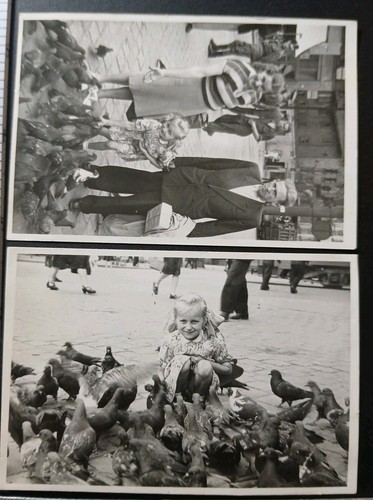 Fillette pigeons 1950 - et, x2