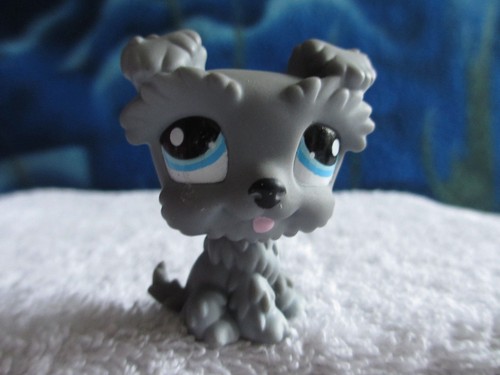 Petshop dog schnauzer 1393 - dog,