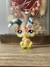 🌺petshop lapin Garenne