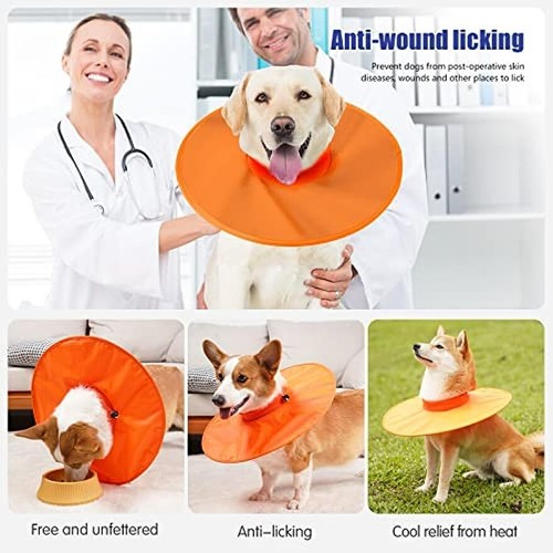 Elizabethan dog collar - collar, cone