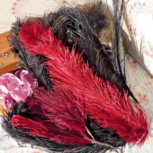 Lot anciennes plumes - lot, 7