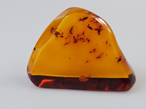 Ambre insecte fossile - ,,