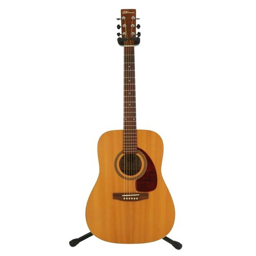 Guitare acoustique norman b20 - guitare,