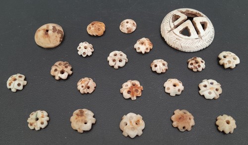 X21 coquillages gravés - coquillages,