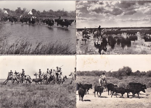Lot cartes postales - cartes,