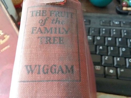 Antique book dated - 1924, the