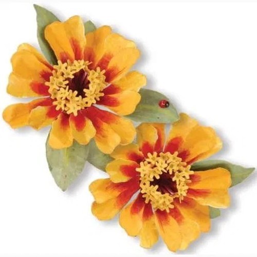 Fustelles big shot sizzix - big,