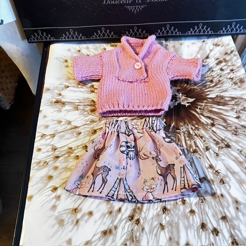 Ensemble pour poupee emilie - ensemble,