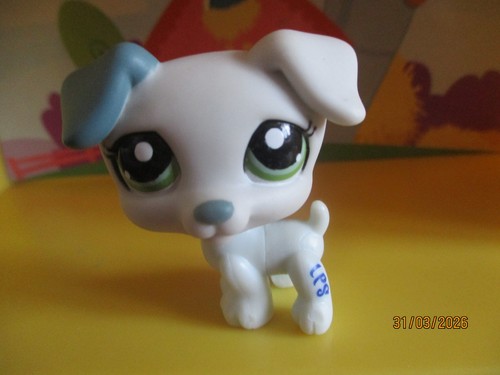 Petshop chien jack russel - chien,