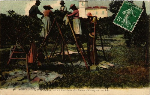 Cpa cote azur - d'azur, cuiellette