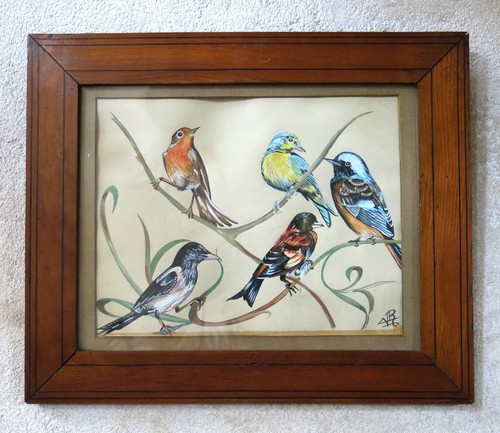 Jolis oiseaux cadre - jolis,