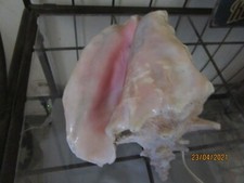 Grande lampe en forme de vrai