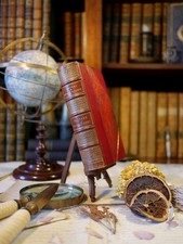 Bouvard et Pécuchet, Gustave