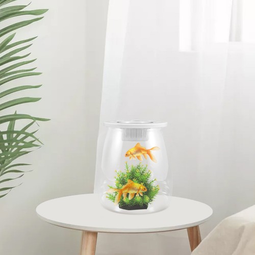 Boîte élevage de poissons - boîte,