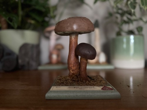 Vintage somso bay bolete - bay,