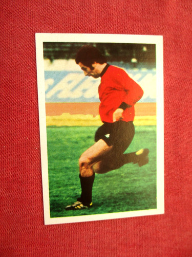 Betta rennes rennais image - rennes,