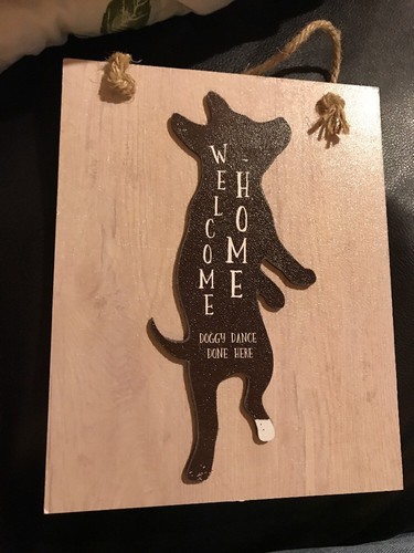Welcome home doggie dance - welcome,