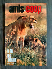 AMIS COOP n° 129 LA CANE AUX OEUFS D'OR brigand CARTOUCHE four céramique 11/1971