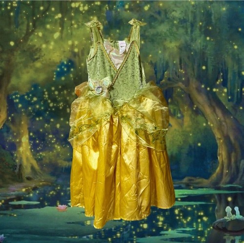 Disney princess tiana - disney, costume