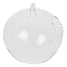  Globe De Terrarium En Verre