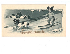 CHIEN humain / CHIEN de TRAINEAU attelé au skieur ,BONNE ANNEE période 1920-1930