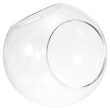 Globe Terrarium Air Plante