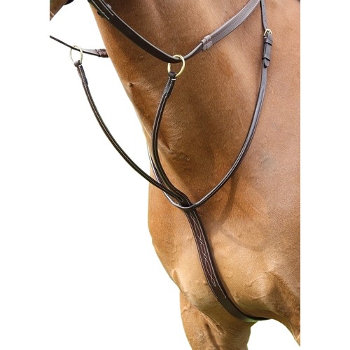 Salisbury martingale à - salisbury,