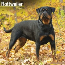 Calendrier 2024 - ROTTWEILER