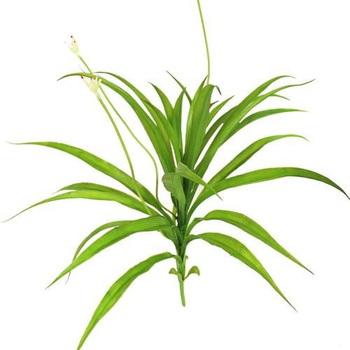Cymbidium artificiel fleurs - artificiel,