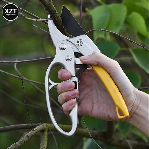 Sécateur universel jardin - jardin, en