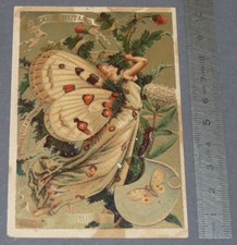 CHROMO 1890-1910 CHICOREE A LA MENAGERE DUROYON RAMETTE CAMBRAI DORITIS APOLLO