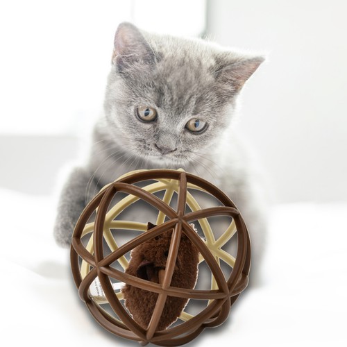 Jouet puzzle forme - puzzle, en