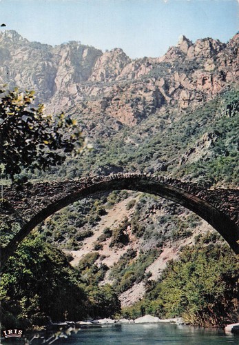 Ota pont genois - pont,