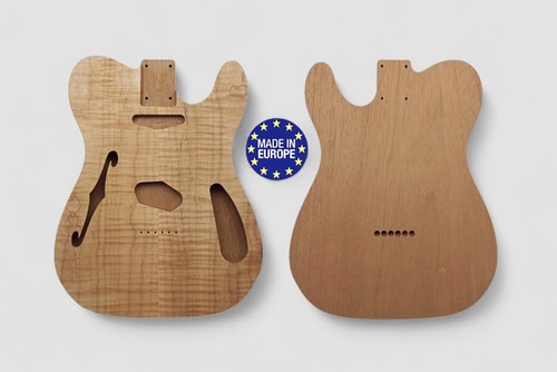 Guitare style tele - style, thinline