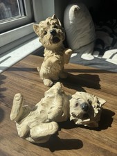 2 x West Highland Terrier