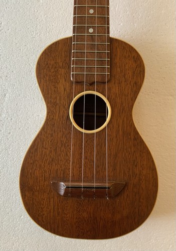 Vintage washburn soprano - vintage,