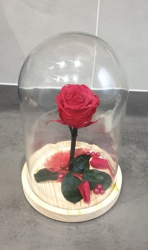 Jolie rose éternelle - jolie,